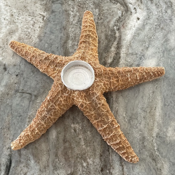 Large 11" Starfish Tealight Holders - Picture 7 of 7